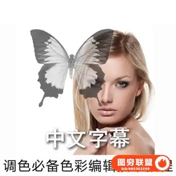 E238-PS教程 色彩编辑技术 调色师高级教程 调色视频教程 中文字幕