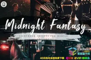 [胶片预设-lr预设][胶片] 午夜梦幻电影胶片Lightroom预设