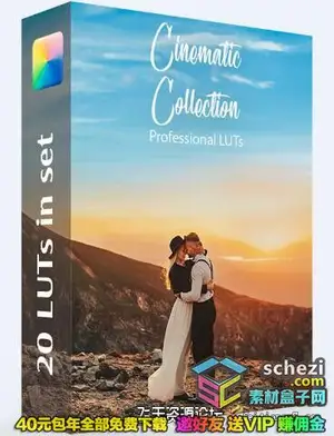 [婚礼预设-lut预设]20组婚礼电影效果视频调色LUT预设PS/AE/PR/FCPX/达芬奇调色LUT
