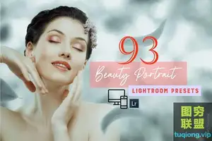 93款人像美化美容皮肤Lightroom预设