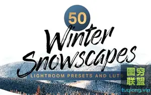 50个冬季LR预设和LUT 50 Winter Lightroom Presets and LUTs