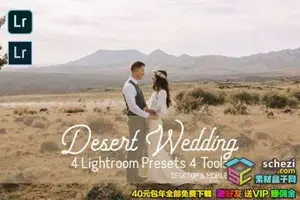 [胶片预设-lr预设][婚礼] 沙漠旅拍复古胶片婚礼Lightroom预设