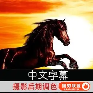 E105-Lightroom Photoshop 摄影后期调色与合成教程 中文字幕