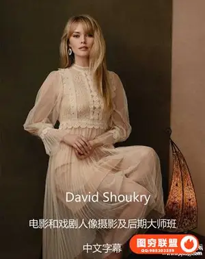 David Shoukry电影胶片戏剧人像摄影及后期大师班-中文字幕