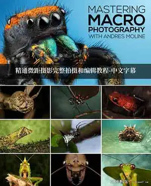 [风光]Fstoppers-Andres Moline精通微距摄影完整拍摄及后期教程-中文字幕