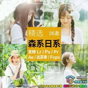 [日系|网红-lut预设][日系] 清新日系森系调色滤镜PR/PS/FCPX/达芬奇/AE/LUT预设