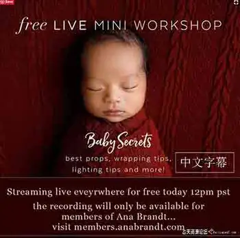 [新生儿童]新生儿摄影师Ana Brandt新生儿摆姿包裹造型网络课程-中文字幕