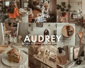 [人文旅行-lr预设]莫兰迪灰色调/APP调色滤镜 5 AUDREY Mobile Lightroom Presets