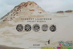 [胶片预设-lut预设]Tribe RedLeaf -婚礼胶片调色 3D LUTs预设四套合集(AE, Pr, PS,FCPX)