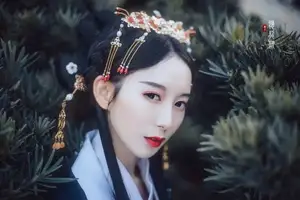 古风大神疯子Charles教程共6期,含预设和素材文件