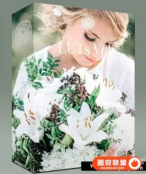 飞思婚礼人像预设第一季-KREATIV WEDDING LUTS VOL1 for Capture One Pro