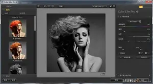 ps插件Nik Collection by DxO 3.3中文破解版|DxO Nik Collection 3.3中文版WINX64-ps滤镜插件