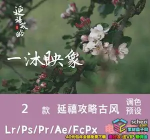 [人像预设-lr预设][人像] 延禧攻略LR和ACR预设