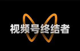 视频号下载工具 支持Win/Mac
