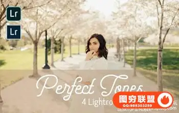 外拍通透清晰胶片人像LR预设+手机版lr预设 Perfect Tones Lightroom