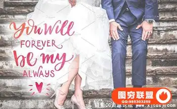 5K高清120个情人节婚礼手写浪漫语录和文字字体合成素材合集 –