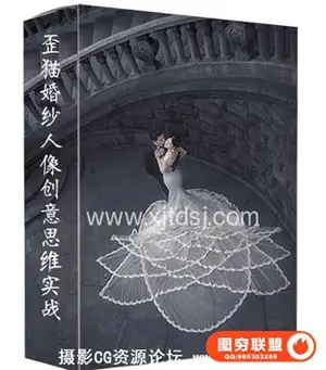 婚礼摄影师歪猫workshop婚纱人像创意思维实战摄影+后期视频