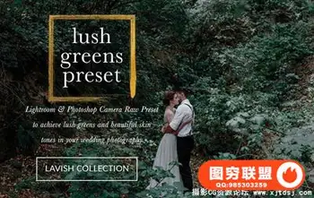 室外现代婚礼Lightroom预设+ACR预设 Lush Greens Wedding Presets