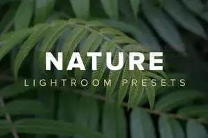 [通用预设-lr预设]高品质的自然Lightroom预设