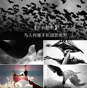 [手机摄影]鸟人何雄手机摄影中文教程-中文字幕