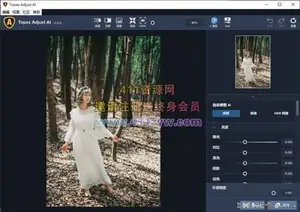 ps插件Topaz Adjust AI 汉化版|AI人工智能HDR滤镜 Topaz Adjust AI 1.0.5中文版-ps滤镜插件