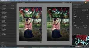 ps插件Google Nik Collection 1.2.9.0 (7合1) 中文版 Win版本(支持CC2019)-ps滤镜插件