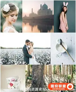 强大的色彩预设Mastin Labs Fuji Pro (PS+LR)佳能尼康全版通用