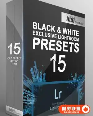 15极致黑白Lightroom预设15 Black & White LR Presets