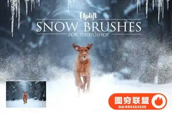 25款逼真冬季雪花笔刷-PS雪花笔刷使用视频教程