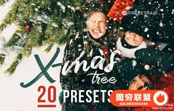 冬季人像Lightroom预设+移动APP预设 Christmas Tree – 20 Winter Presets