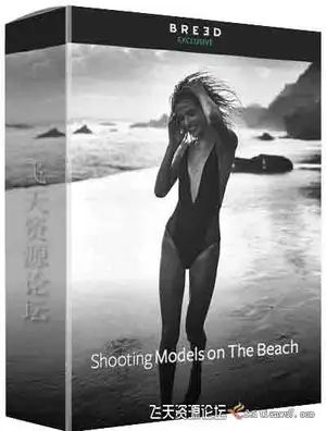 [人像]BREED-Shooting Models on the Beach海滩泳装私房摄影教程-中文字幕