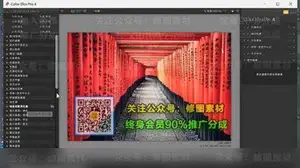 托马斯Thomas看看世界- Nik Collection滤镜插件智能工作流教程
