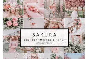 [日系|网红-lr预设]淡粉红樱花色Lightroom预设维多利亚蜜蜂VictoriaBee SAKURA Lightroom presets
