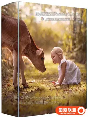 Elena Shumilova 俄罗斯摄影师Elena Shumilova儿童后期教程 1702