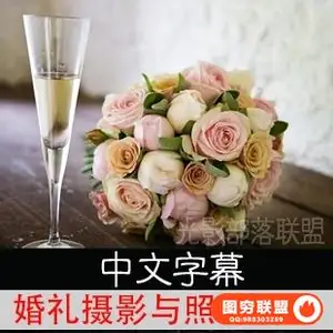 YK0 婚礼现场摄影教程与照片后期处理教程 中文字幕