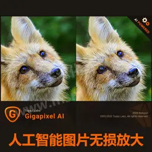 Topaz A.I. Gigapixel 5.6.1AI人工智能图片无损放大软件汉化版win+mac