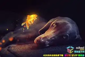 [精选合集]PS合成教程145套国外创意摄影照片人像唯美合成Rafy-a系列