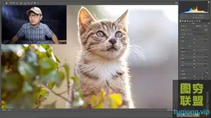巫师后期 Adobe Camera Raw "纹理"滑块及ACR -6月新界面解说