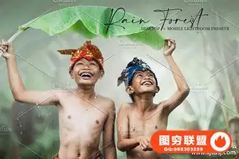 热带雨林电影色调LR预设+手机预设 Rain Forest Lightroom Presets