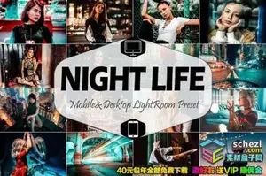 [风光预设-lr预设][旅拍] 旅拍城市夜景摄影Lightroom预设