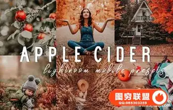 温暖琥珀秋季金色调人像Lightroom预设+手机版Lightroom APP预设