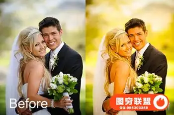 经典老式婚礼调色预设Lightroom模板