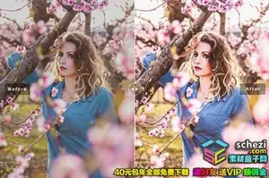 [人像预设-lr预设][人像] 外拍杜鹃花海人像Lightroom预设+移动