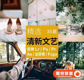 LR预设清新文艺日系森系滤镜PR/PS/FCPX/达芬奇/AE/Lut预设