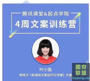 叶小鱼 4周文案训练营,快速掌握10年职业文案人的私家绝活