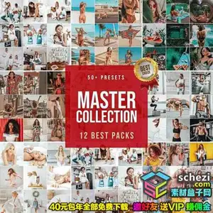 [手机预设]INS大师收藏-旅拍风格人像手机版