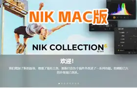 N-ik Collection 6 (Nik插件套装)D-x-O N-ik Collection 6.8.0 MAC中文版