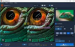ps插件Topaz Gigapixel AI 5.1.7汉化版 AI人工智能无损放大软件|支持PS2021-ps滤镜插件