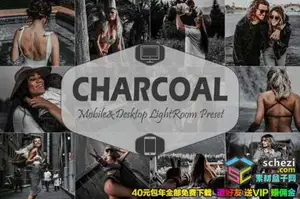 [胶片预设-lr预设][旅拍] 城市旅拍工业风木炭黑金胶片Lightroom预设