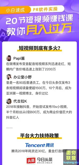 小白速成PR软件实操,教你月入过万 20集